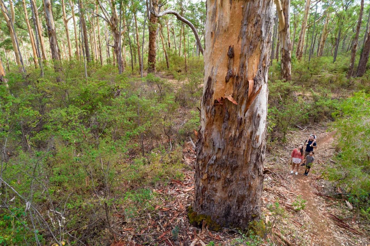 Rac Margaret River Nature Park Esterno foto